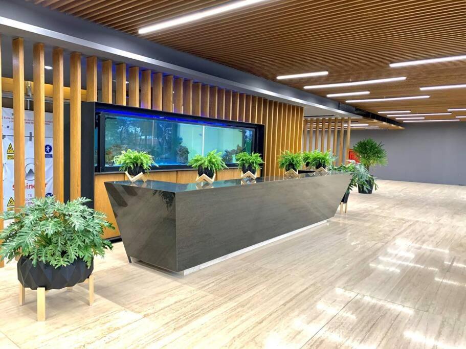 Departamento En Cdmx Con Gym Y Coworking * Mexico City